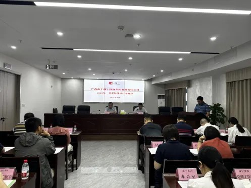  集团公司召开2025年一季度经济运行分析会